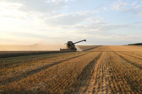 myt_1025_fields-5282497