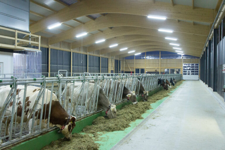 MYT_1222_Bild_Grüter Handels AG