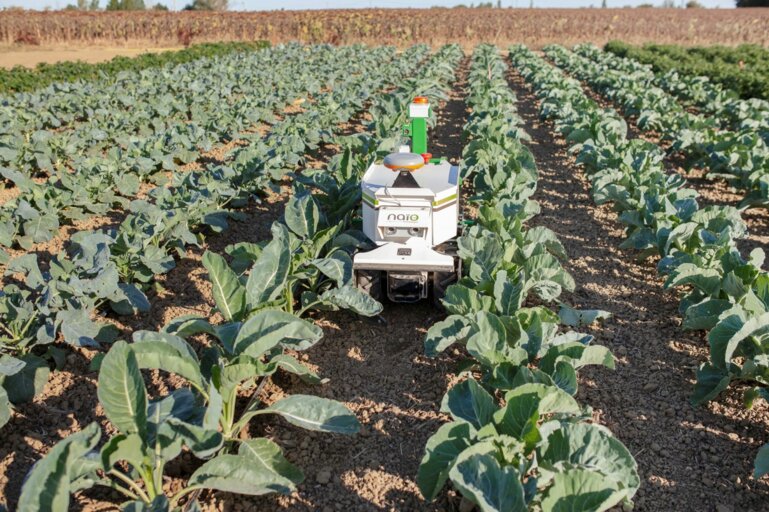 NAIO-IMG_9308-copie-e1604383068206-2048x1363