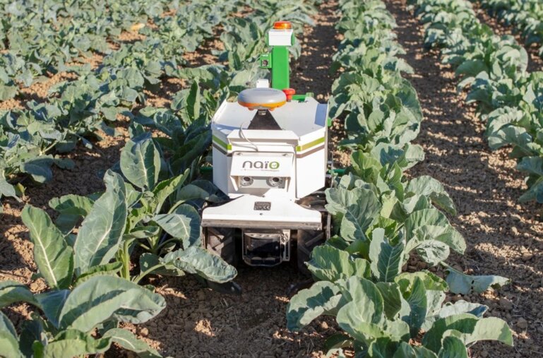 NAIO-IMG_9308-copie-e1604383068206-2048x1363_