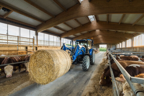 New Holland T5 S_2_702209