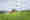 NOVACAT_F_3100_NOVACAT_H_11200_JohnDeere_119