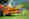 NOVACAT_F_3100_NOVADISC_302_Case_K_23-3