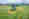 NOVACAT_F_3100_OC_NOVACAT_H_11200_JohnDeere_26