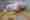 nt01_ag_Foto1_doppelseite (1)