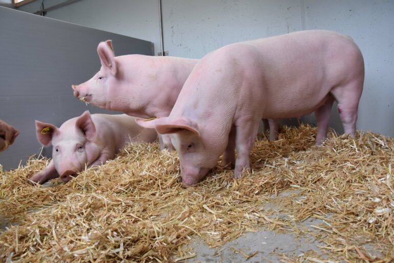 nt01_ag_Foto1_doppelseite (1)