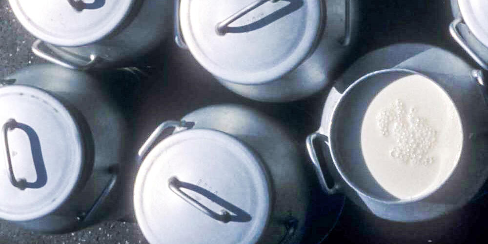 Augmentation du prix aux producteurs pour le lait bio