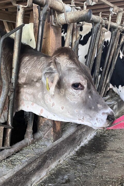 nt_ta_foto_für_homepage