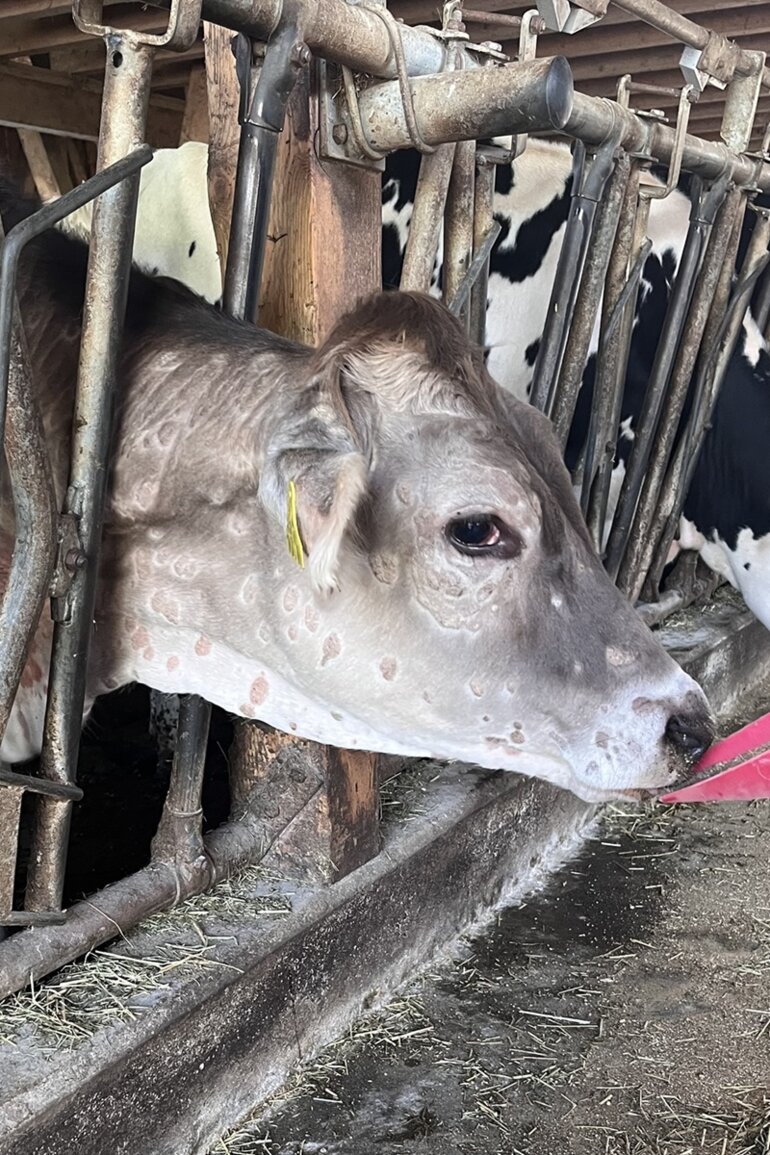 nt_ta_foto_für_homepage