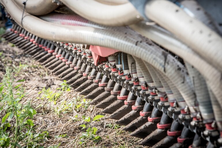 nutrient-management-4136857