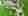 alt_text