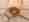 alt_text
