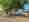 online_be10_0725_daniel fäh_03
