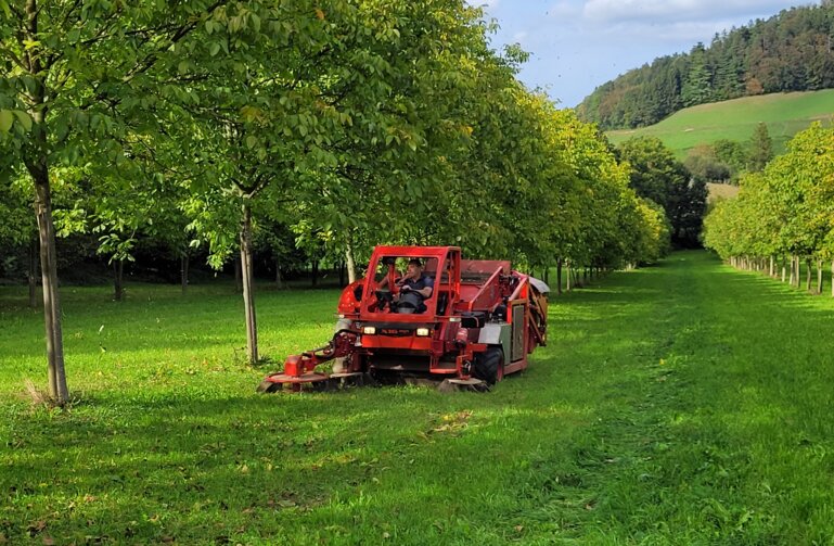 pb2_erntemaschinebaumnuss_horizontal_kek