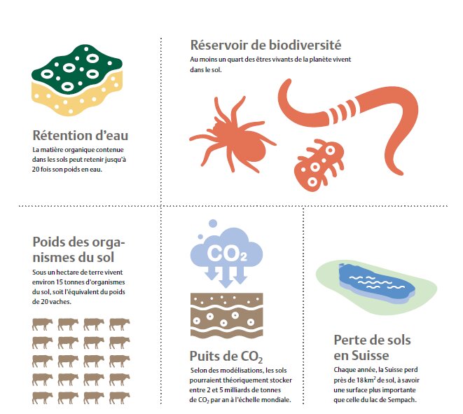 pb_ad_bodenfakten_fr