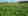 pb_phy_juni_kartoffeln (002)