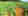 phy_oktober_titelbild raps