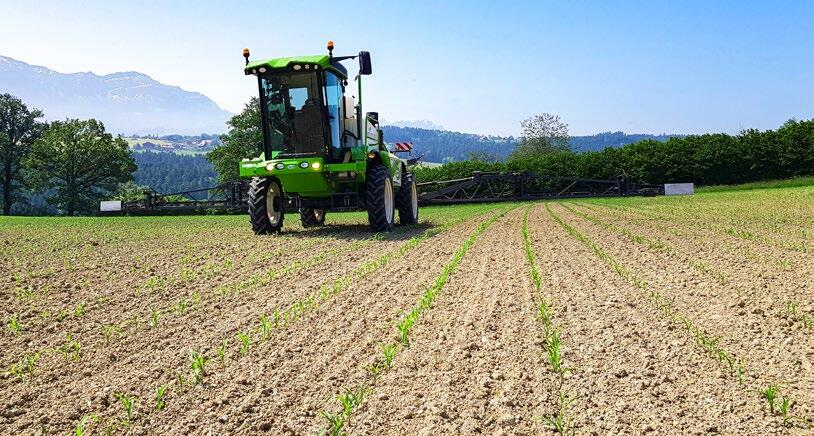 Des champs propres malgré les restrictions