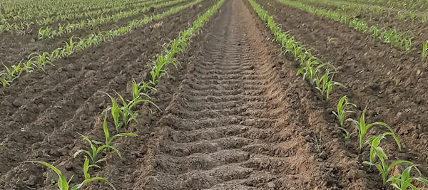 Für jede Situation die richtige Lösung