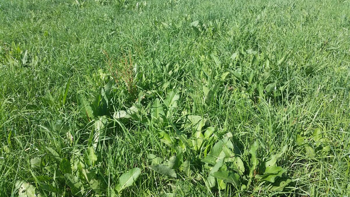 Automne : quand vient l’heure de traiter