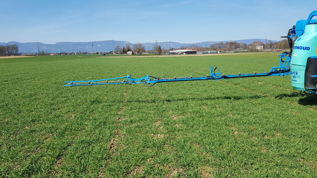 Herbicides céréaliers