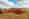 PLANO_VT_6060_Steyr_3011