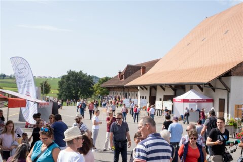 portes-ouvertes-ferme-laitiere-de-grangeneuve