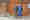 alt_text