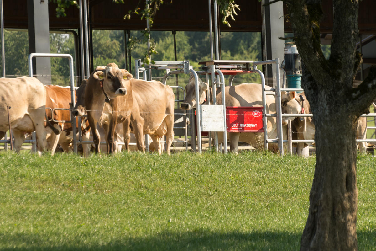 Inspiration für den eigenen Betrieb