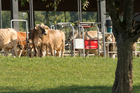 PR_Lely Farm Willi Schmid Gossau CH (51) 2988