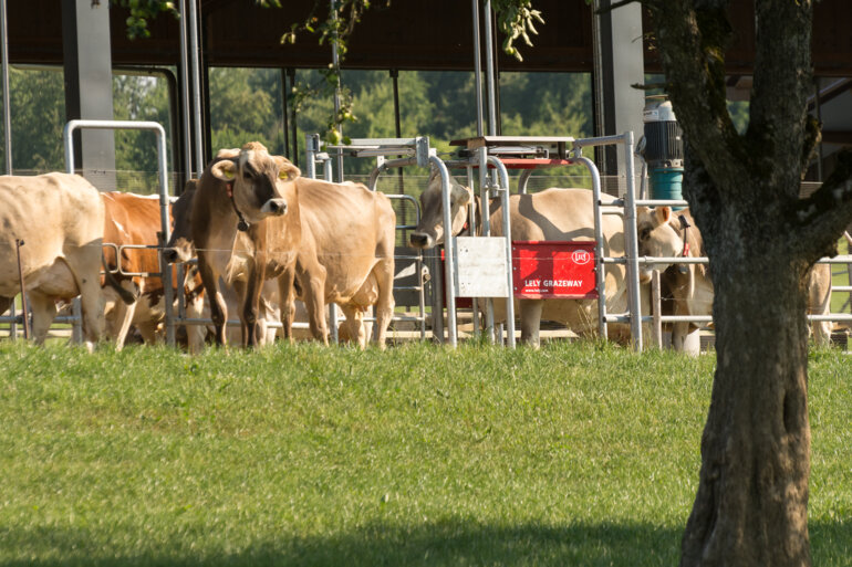 PR_Lely Farm Willi Schmid Gossau CH (51) 2988