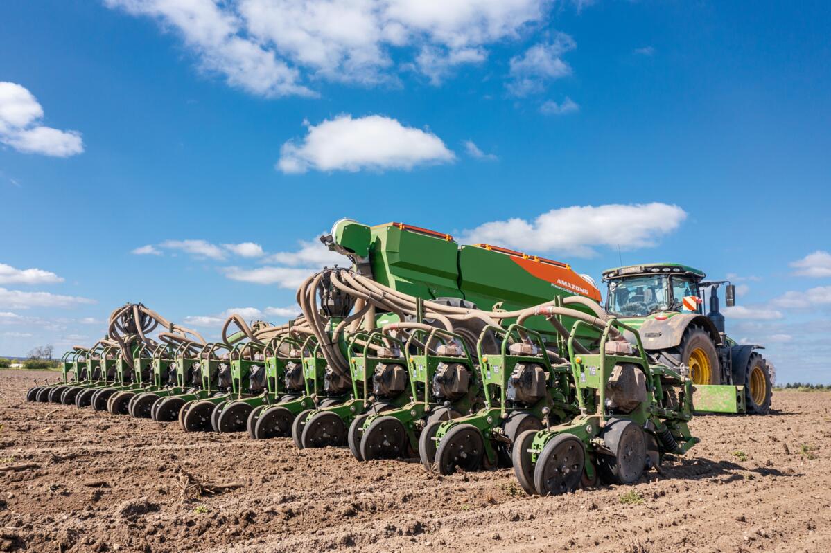 Amazone - Präzisions-Einzelkornsaat 