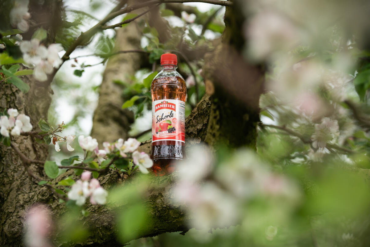 Schorle saisonnier Pomme et baies d'été 