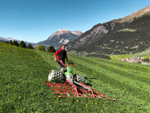 Rapid WS200 ohne Logo