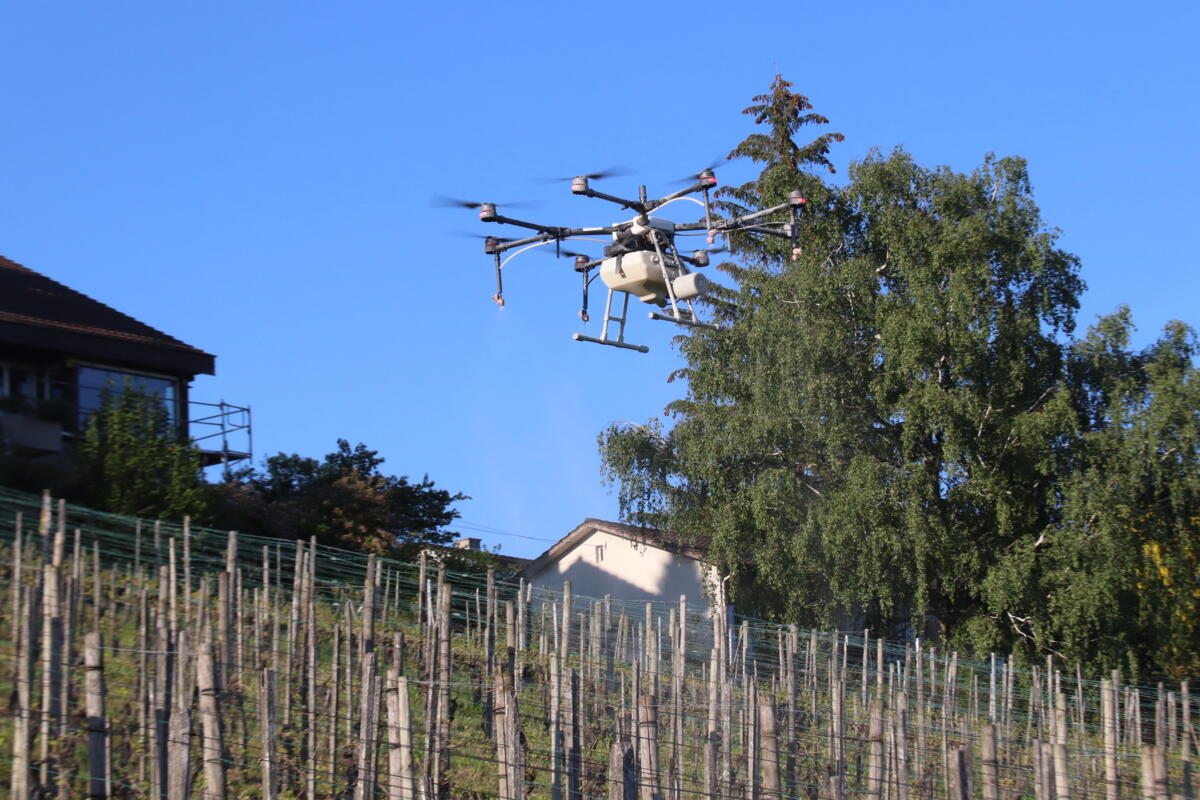 Beim Einsatz zum Pflanzenschutz muss der Pilot immer Sichtkontakt auf sein Flugobjekt haben.