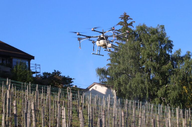 Reben Drohneneinsatz Flug