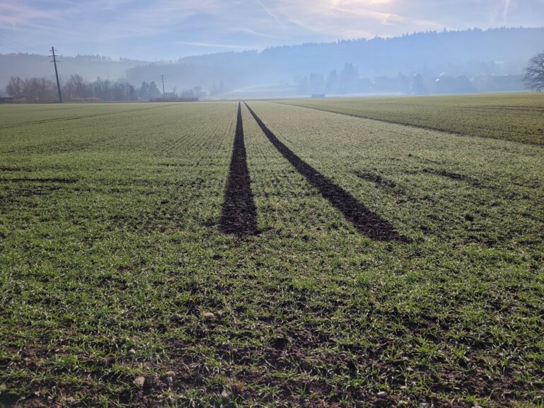 Reifenprofil in die Ferne_kempf