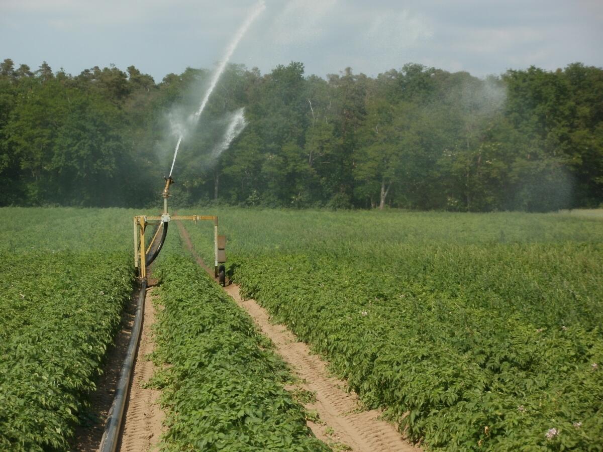 Publication d’un nouveau guide d’irrigation en Suisse