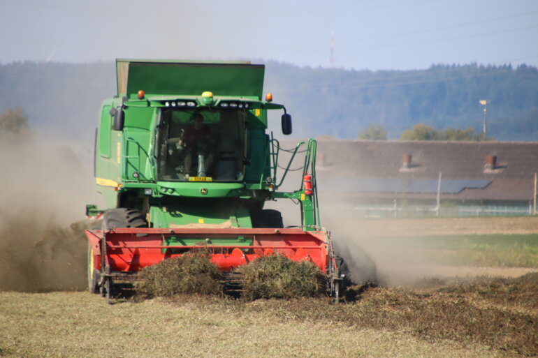 Rotkleesamenernte_RoMue