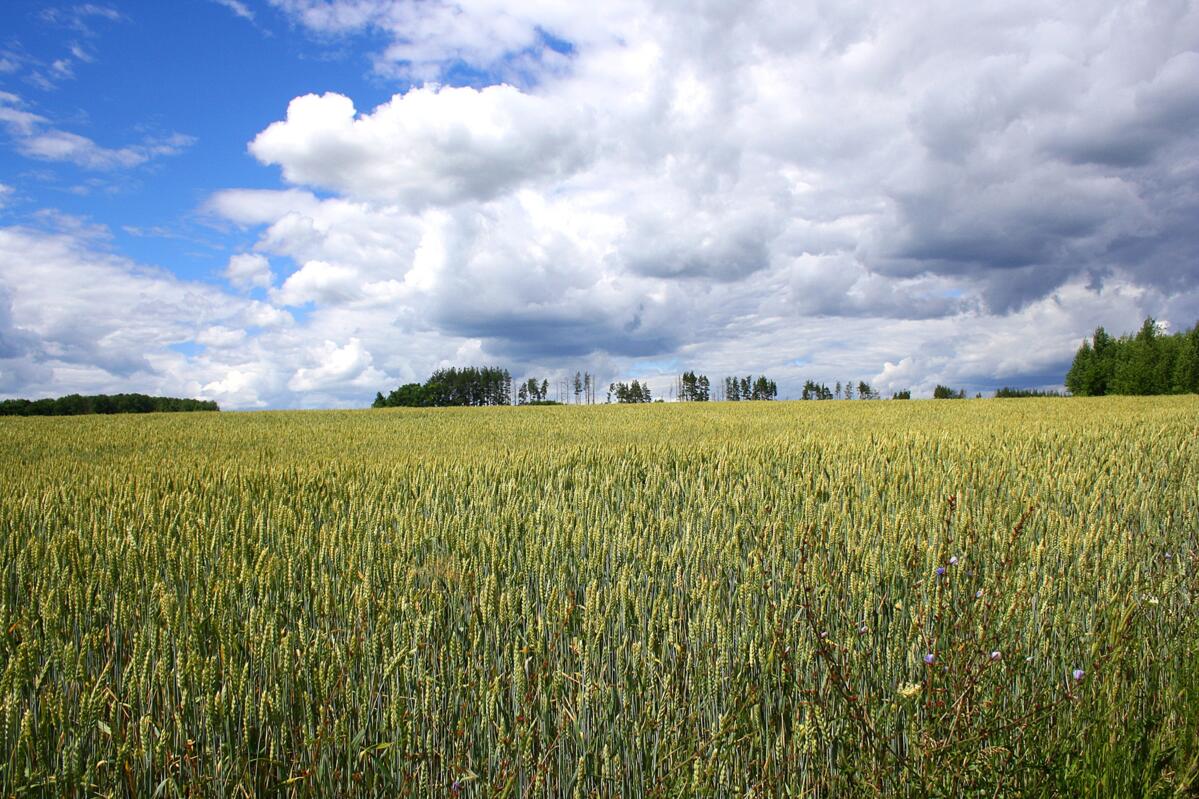 La Suisse et la Russie veulent intensifier leurs échanges dans le domaine agricole