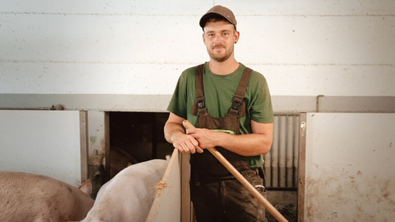 SAUGUT Stallspot_Sim~sauenstall _s26