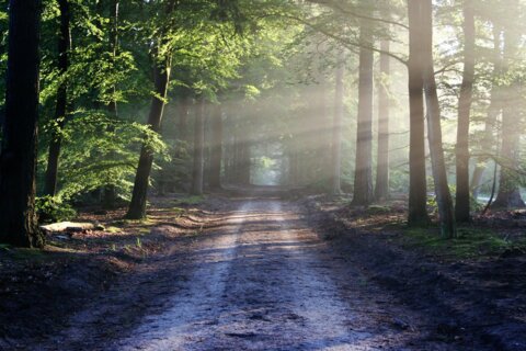 Schatten