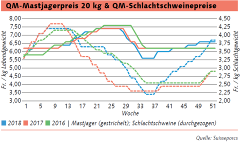 schweineproduktion