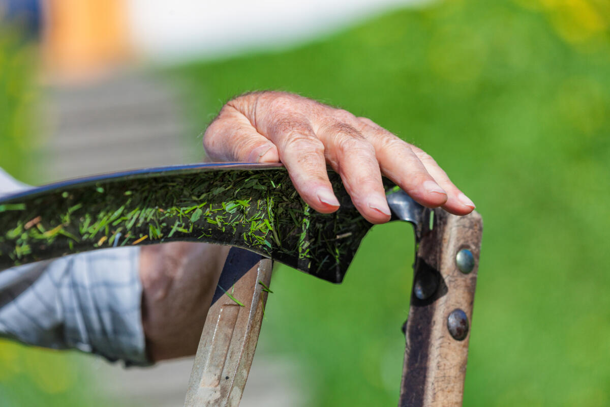 Est-il vrai que les exploitations gérées par des jeunes sont plus mécanisées que celles des plus âgées ?