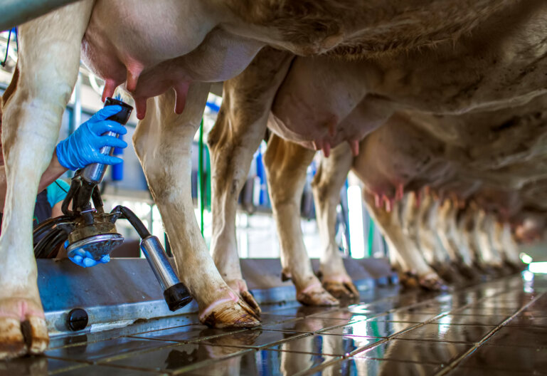 shutterstock_2159334125 (1)