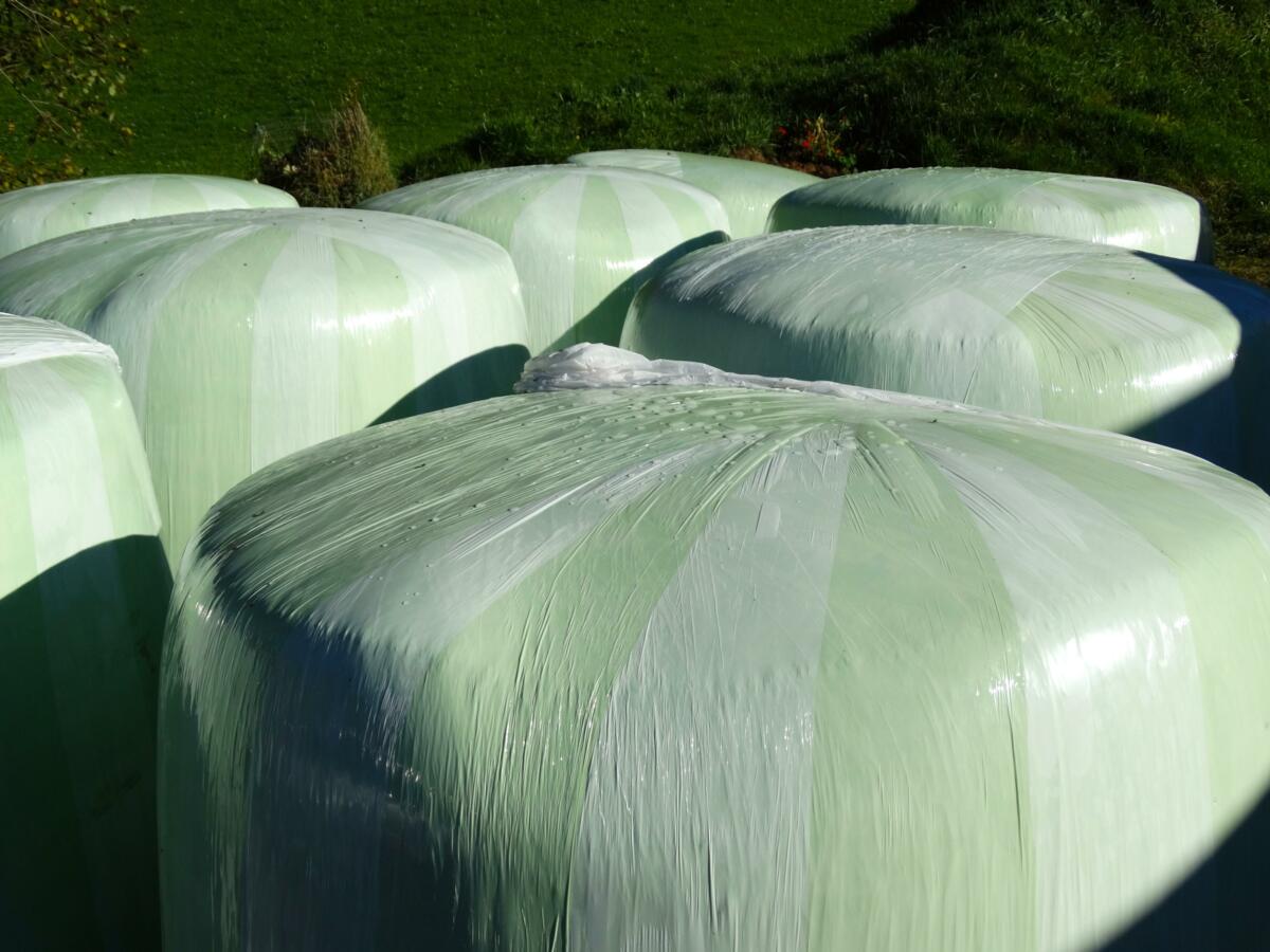 Le recyclage des films d'ensilage se développe