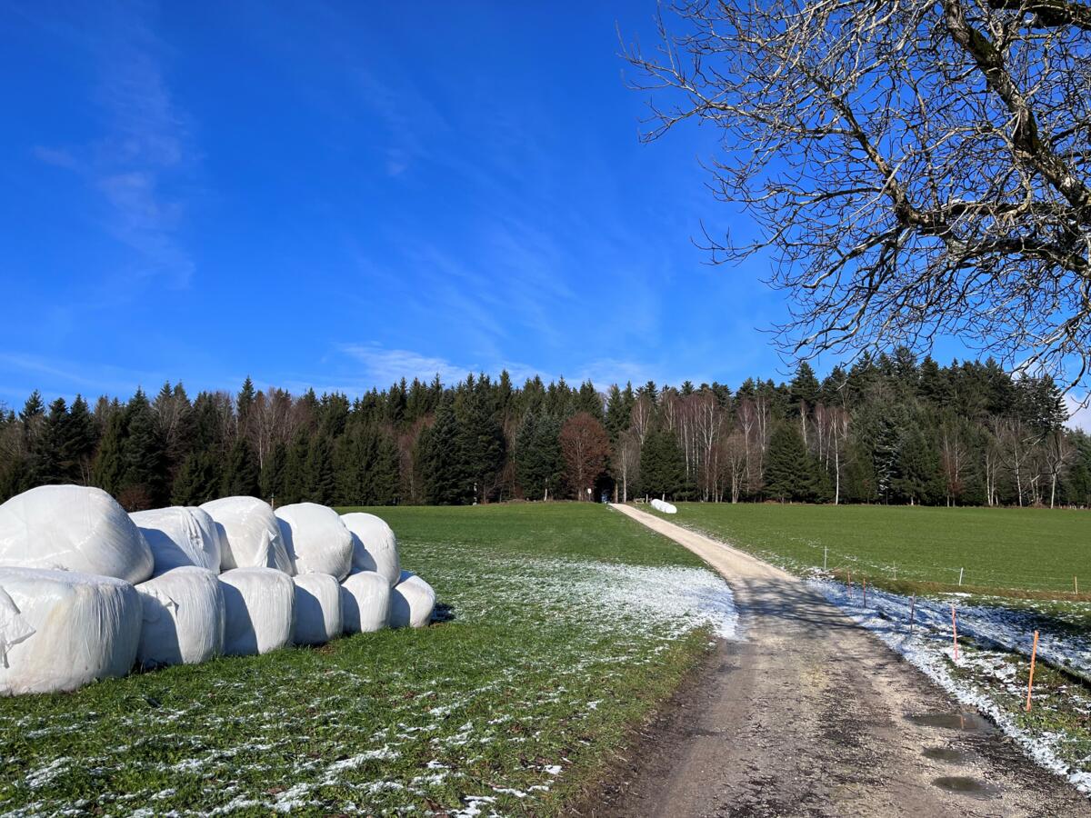 Un réseau d'une centaine de points de collecte en Suisse récupère les films d'ensilage pour les recycler.