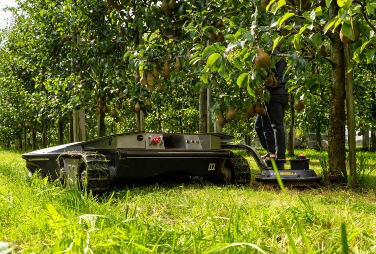 SkarabaeusImEinsatz3_