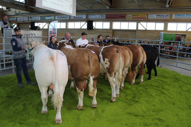 SMF_2019_04_17 (102)