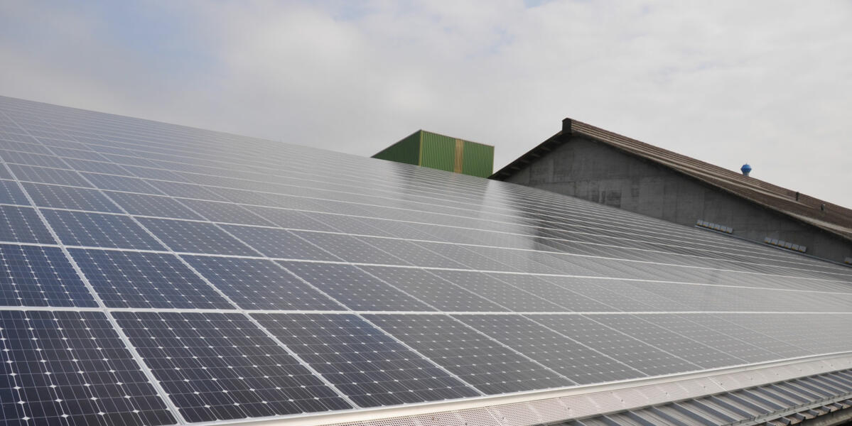 Energie Schweiz mit neuer Website und neuem Erscheinungsbild